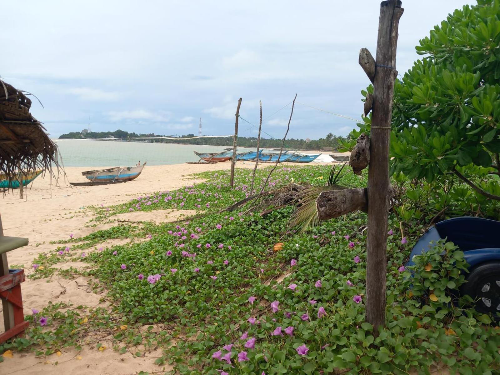 Blue Horizon Beach Hotel Tangalle Esterno foto